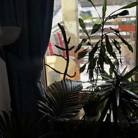 Appartement 5 Mins To Kadewe N Ku'damm *
